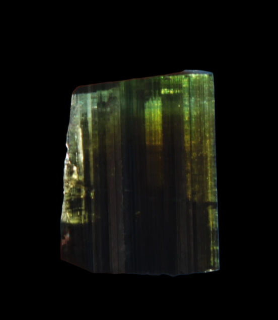 Dark Black Green Tourmaline 12mm 8ct 1.6g in sunlight - Rocks and Things Store