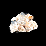 Black Tourmaline crystals on matrix of Lepidolite with tiny clear crystals 26.9ct 5.3g Rocks and Things