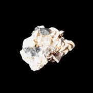 Black Tourmaline crystals on matrix of Lepidolite with tiny clear crystals 26.9ct 5.3g Rocks and Things