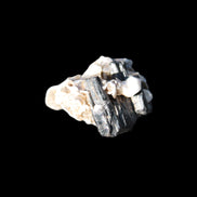 Black Tourmaline crystals on matrix of Lepidolite with tiny clear crystals 26.9ct 5.3g Rocks and Things