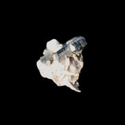 Black Tourmaline crystals on matrix of Lepidolite with tiny clear crystals 26.9ct 5.3g Rocks and Things