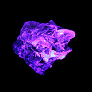 Black Tourmaline crystals on matrix of Lepidolite with tiny clear crystals 26.9ct 5.3g Rocks and Things