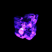 Black Tourmaline crystals on matrix of Lepidolite with tiny clear crystals 26.9ct 5.3g Rocks and Things