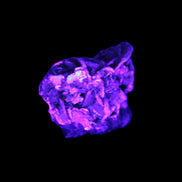 Black Tourmaline crystals on matrix of Lepidolite with tiny clear crystals 26.9ct 5.3g Rocks and Things