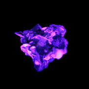 Black Tourmaline crystals on matrix of Lepidolite with tiny clear crystals 26.9ct 5.3g Rocks and Things