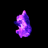 Black Tourmaline crystals on matrix of Lepidolite with tiny clear crystals 26.9ct 5.3g Rocks and Things