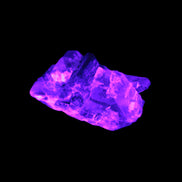 Black Tourmaline crystals on matrix of Lepidolite with tiny clear crystals 26.9ct 5.3g Rocks and Things