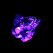 Black Tourmaline crystals on matrix of Lepidolite with tiny clear crystals 26.9ct 5.3g Rocks and Things