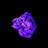 Black Tourmaline crystals on matrix of Lepidolite with tiny clear crystals 26.9ct 5.3g Rocks and Things