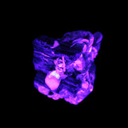 Black Tourmaline crystals on matrix of Lepidolite with tiny clear crystals 26.9ct 5.3g Rocks and Things