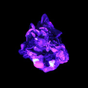 Black Tourmaline crystals on matrix of Lepidolite with tiny clear crystals 26.9ct 5.3g Rocks and Things