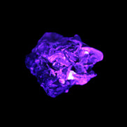 Black Tourmaline crystals on matrix of Lepidolite with tiny clear crystals 26.9ct 5.3g Rocks and Things