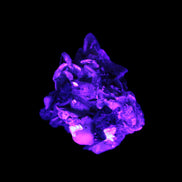 Black Tourmaline crystals on matrix of Lepidolite with tiny clear crystals 26.9ct 5.3g Rocks and Things