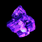 Black Tourmaline crystals on matrix of Lepidolite with tiny clear crystals 26.9ct 5.3g Rocks and Things