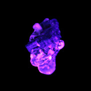 Black Tourmaline crystals on matrix of Lepidolite with tiny clear crystals 26.9ct 5.3g Rocks and Things