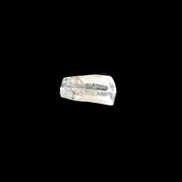 Clear Terminated tiny Aqumarine crystal 11mm 3.1ct  0.6g Rocks and Things