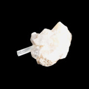 Thin Clear Aquamarine with tiny Lemurian Quartz crystals on matrix 32.6ct 6.5g Rocks and Things