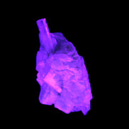 Thin Clear Aquamarine with tiny Lemurian Quartz crystals in UV light