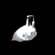 Dark Black Green Tourmaline 10mm on Clear Quartz with matrix dusting 24.6ct 4.9g in bright sunshine - Rocks and Things Store