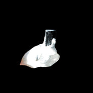 Dark Black Green Tourmaline 10mm on Clear Quartz with matrix dusting 24.6ct 4.9g in bright sunshine - Rocks and Things Store