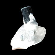 Dark Black Green Tourmaline 10mm on Clear Quartz with matrix dusting 24.6ct 4.9g in bright sunshine - Rocks and Things Store