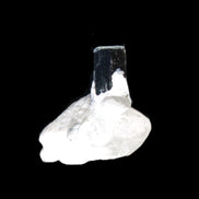 Dark Black Green Tourmaline 10mm on Clear Quartz with matrix dusting 24.6ct 4.9g in bright sunshine - Rocks and Things Store