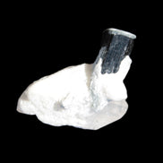 Dark Black Green Tourmaline 10mm on Clear Quartz with matrix dusting 24.6ct 4.9g in bright sunshine - Rocks and Things Store