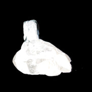 Dark Black Green Tourmaline 10mm on Clear Quartz with matrix dusting 24.6ct 4.9g in bright sunshine - Rocks and Things Store