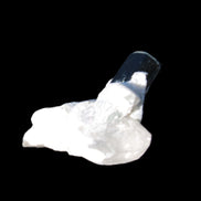 Dark Black Green Tourmaline 10mm on Clear Quartz with matrix dusting 24.6ct 4.9g in bright sunshine - Rocks and Things Store