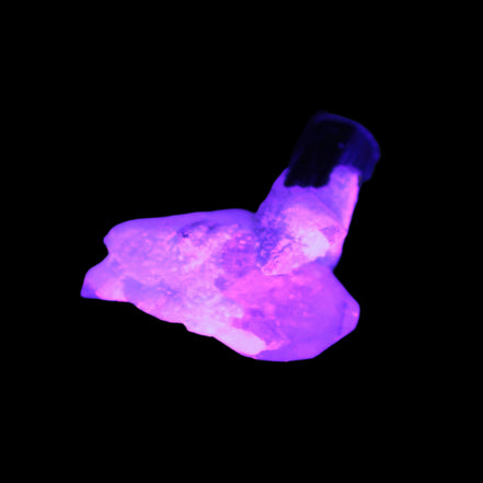 Dark Black Green Tourmaline 10mm on Clear Quartz with matrix dusting 24.6ct 4.9g in UV light - Rocks and Things Store