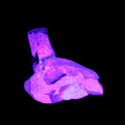 Dark Black Green Tourmaline 10mm on Clear Quartz with matrix dusting 24.6ct 4.9g in UV light - Rocks and Things Store