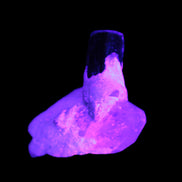 Dark Black Green Tourmaline 10mm on Clear Quartz with matrix dusting 24.6ct 4.9g in UV light - Rocks and Things Store