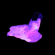 Dark Black Green Tourmaline 10mm on Clear Quartz with matrix dusting 24.6ct 4.9g in UV light - Rocks and Things Store