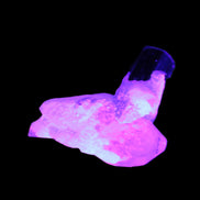 Dark Black Green Tourmaline 10mm on Clear Quartz with matrix dusting 24.6ct 4.9g in UV light - Rocks and Things Store