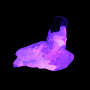 Dark Black Green Tourmaline 10mm on Clear Quartz with matrix dusting 24.6ct 4.9g in UV light - Rocks and Things Store