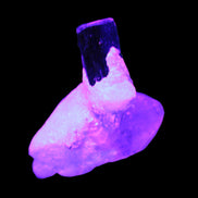 Dark Black Green Tourmaline 10mm on Clear Quartz with matrix dusting 24.6ct 4.9g in UV light - Rocks and Things Store