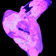 Dark Black Green Tourmaline 10mm on Clear Quartz with matrix dusting 24.6ct 4.9g in UV light - Rocks and Things Store