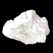 Pink with faint Green Watermelon Tourmaline 11mm on Clear Quartz 48ct 9.6g - Rocks and Things Store