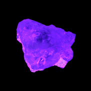 Pink with faint Green Watermelon Tourmaline 11mm on Clear Quartz 48ct 9.6g in UV light - Rocks and Things  Store