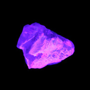 Pink with faint Green Watermelon Tourmaline 11mm on Clear Quartz 48ct 9.6g in UV light - Rocks and Things  Store