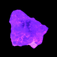 Pink with faint Green Watermelon Tourmaline 11mm on Clear Quartz 48ct 9.6g in UV light - Rocks and Things  Store