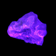 Pink with faint Green Watermelon Tourmaline 11mm on Clear Quartz 48ct 9.6g in UV light - Rocks and Things  Store