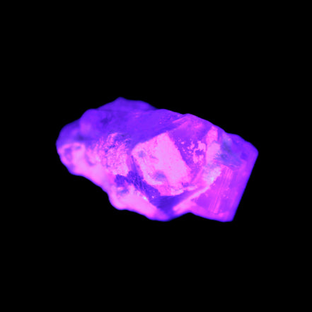 Pink with faint Green Watermelon Tourmaline 11mm on Clear Quartz 48ct 9.6g in UV light - Rocks and Things  Store