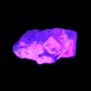 Pink with faint Green Watermelon Tourmaline 11mm on Clear Quartz 48ct 9.6g in UV light - Rocks and Things  Store