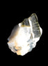 Dark Black Elbaite cluster in Clear Calcite matrix 25mm 50ct 10g Rocks and Things