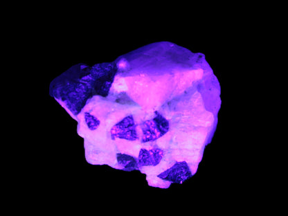 Black Elbaite cluster in matrix in UV light