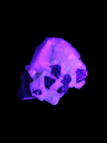 Black Elbaite cluster in matrix in UV light