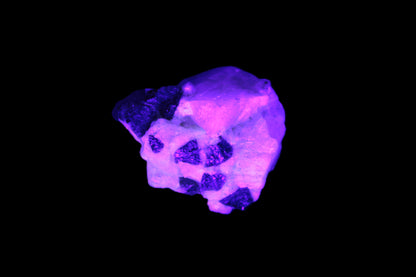 Black Elbaite cluster in matrix in UV light