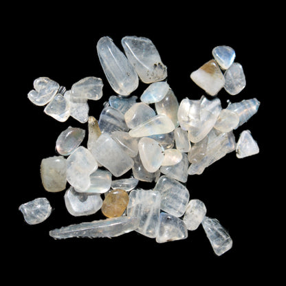 Labradorite Moonstone polished chips 10g Rocks and Things