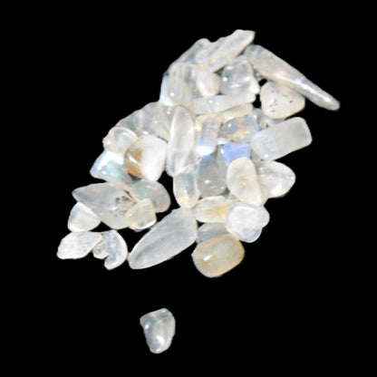 Labradorite Moonstone polished chips 10g Rocks and Things